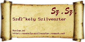 Székely Szilveszter névjegykártya